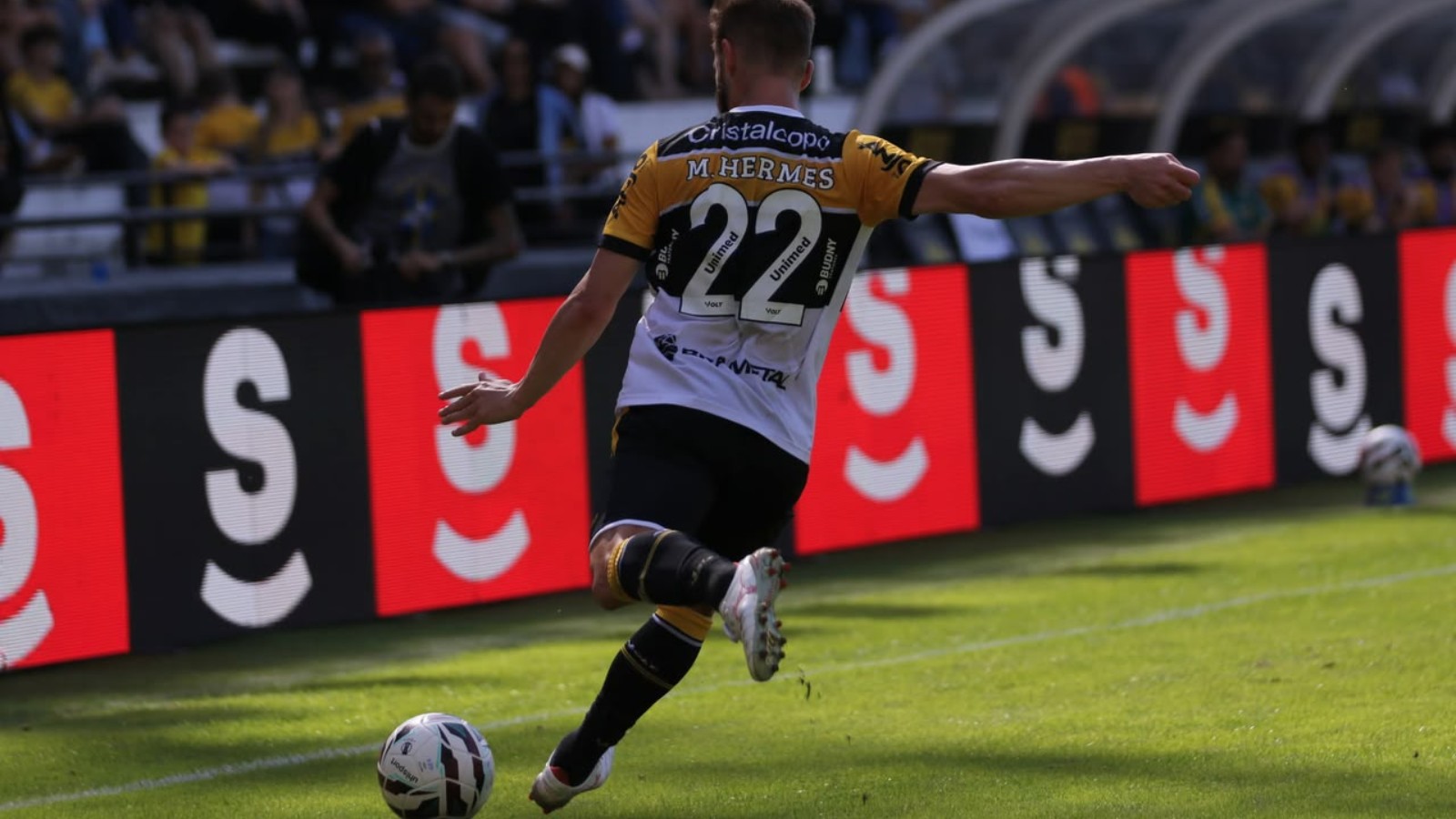 Com "novo" esquema tático, Criciúma busca manter tabu em duelo de tigres na rodada da Série B